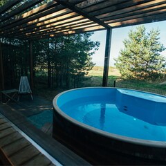 Гостевой дом Elki Лебяжье, Ленинградская область