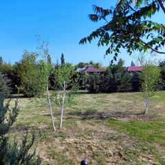 База отдыха У Реки, Ростовская область