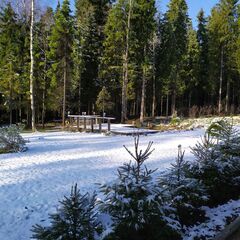 Дом с бассейном Дивное самоцветье, Ленинградская область