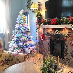 Дом с бассейном Дивное самоцветье, Ленинградская область