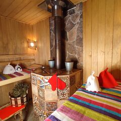 Дом с бассейном Дивное самоцветье, Ленинградская область