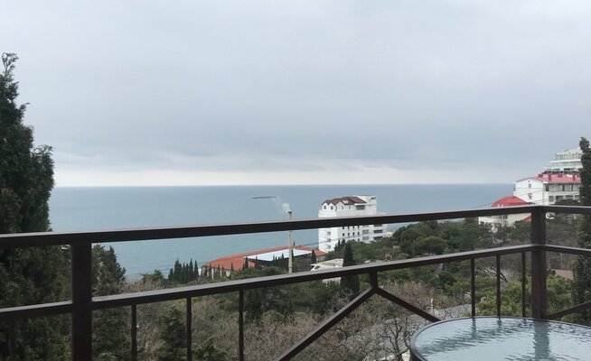 Пальма — фото 5