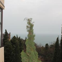 Апарт-отель Пальма, Ялта, Крым