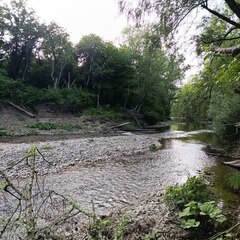 Дом в лесу Forrest Camp, Краснодарский край