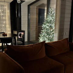 Частный дом Игма, Ленинградская область