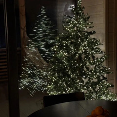 Частный дом Игма, Ленинградская область