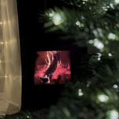 Частный дом Игма, Ленинградская область