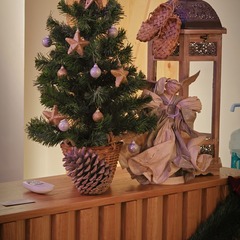 Гостевой дом Ярис, Владимирская область