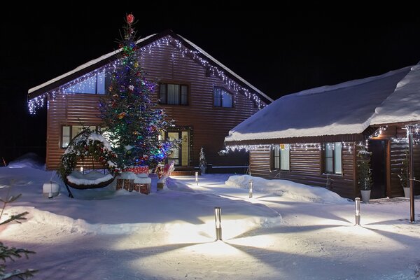 Рыжий кот — фото 4