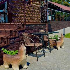 База отдыха Рыжий кот, Республика Алтай