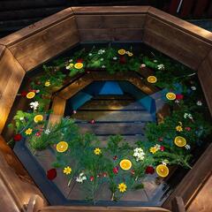 База отдыха Рыжий кот, Республика Алтай