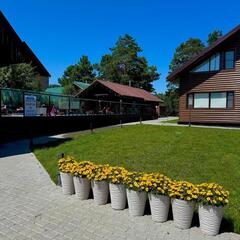 База отдыха Рыжий кот, Республика Алтай