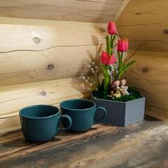 База отдыха Рыжий кот, Республика Алтай