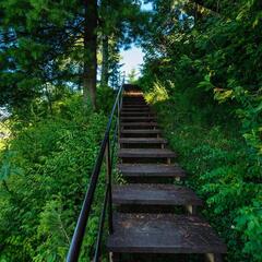 База отдыха Рыжий кот, Республика Алтай