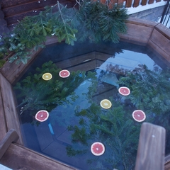 База отдыха Рыжий кот, Республика Алтай