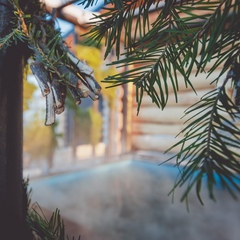 База отдыха Свое место, Тюменская область