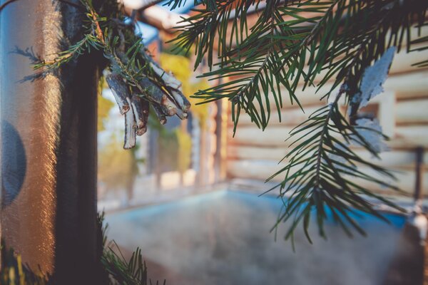 Свое место — фото 5