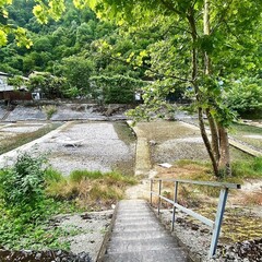 База отдыха Holiday Park Жоэквара, Гагрский район