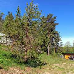 Гостевой дом Ласточкино гнездо, Республика Карелия