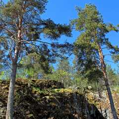 Гостевой дом Ласточкино гнездо, Республика Карелия