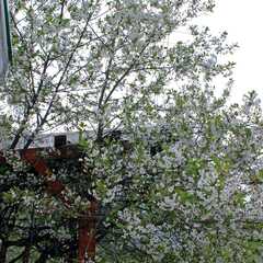 Гостевой дом Ласточкино гнездо, Республика Карелия