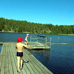 Гостевой дом Ласточкино гнездо, Республика Карелия