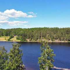 Гостевой дом Ласточкино гнездо, Республика Карелия