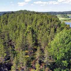 Гостевой дом Ласточкино гнездо, Республика Карелия