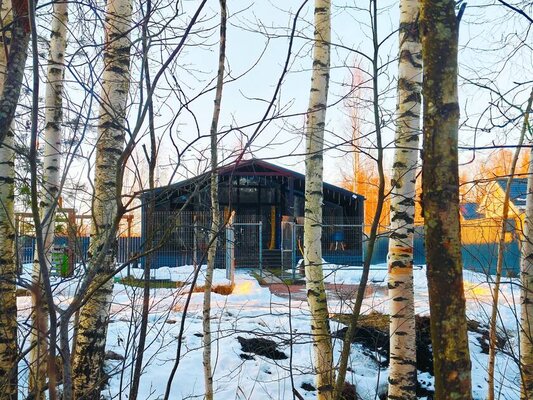 Рядом Лес  — фото 5