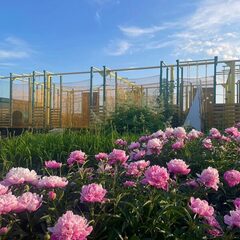 Туристический комплекс Улей, Республика Башкортостан