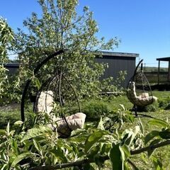 Туристический комплекс Улей, Республика Башкортостан