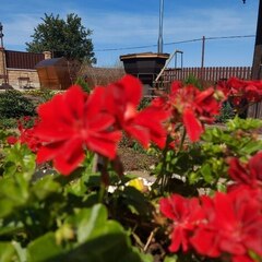 Туристический комплекс Улей, Республика Башкортостан