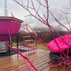 Туристический комплекс Улей, Республика Башкортостан