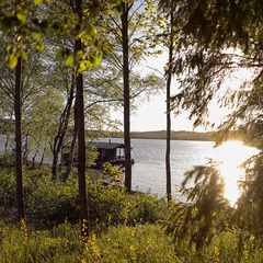 База отдыха и рыбалки Profishers, Республика Карелия