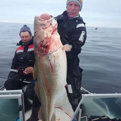 База отдыха и рыбалки Profishers, Республика Карелия