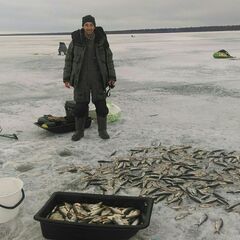 База отдыха и рыбалки Profishers, Республика Карелия