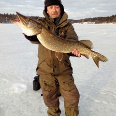 База отдыха и рыбалки Profishers, Республика Карелия