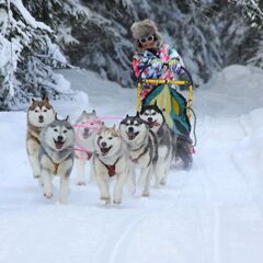 База отдыха и рыбалки Profishers, Республика Карелия