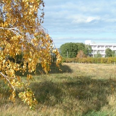 Санаторий Курорт Озеро Шира, Республика Хакасия