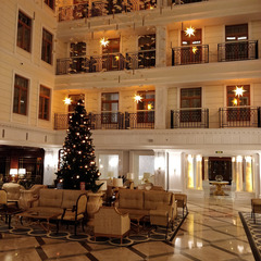 Отель Tsar Palace Luxury & SPA Hotel, Ленинградская область