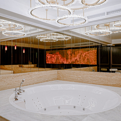 Отель Tsar Palace Luxury & SPA Hotel, Ленинградская область