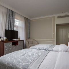 Отель Tsar Palace Luxury & SPA Hotel, Ленинградская область