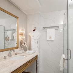 Отель Tsar Palace Luxury & SPA Hotel, Ленинградская область