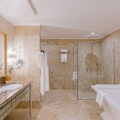 Отель Tsar Palace Luxury & SPA Hotel, Ленинградская область