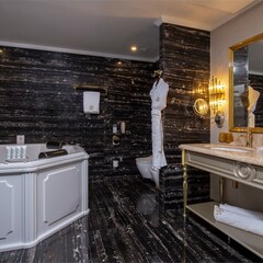 Отель Tsar Palace Luxury & SPA Hotel, Ленинградская область