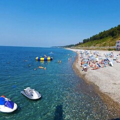 Гостевой дом Вардане, Сочи, Краснодарский край