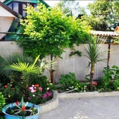 Гостевой дом Вардане, Сочи, Краснодарский край