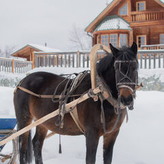 Туристический комплекс Мариинские избы, Свердловская область