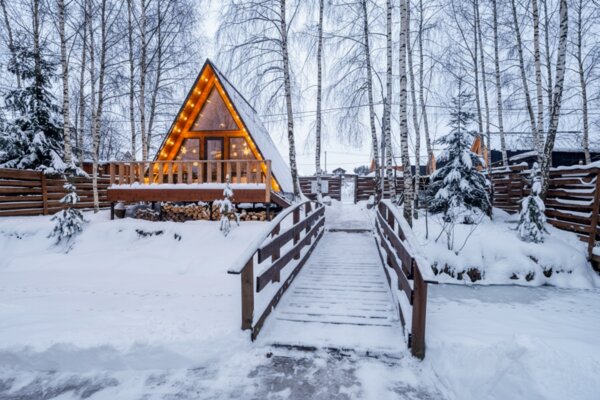 Березовая роща — фото 1