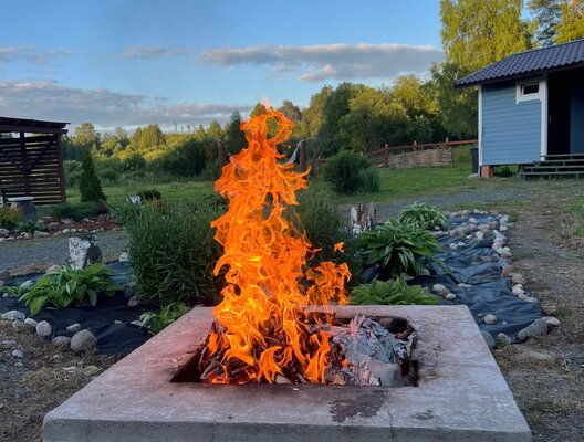 в Терву — фото 5